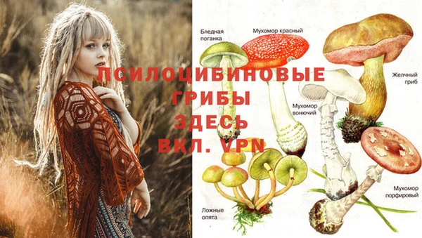 каннабис Армянск