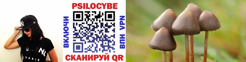 где продают наркотики  Ипатово  Псилоцибиновые грибы ЛСД 